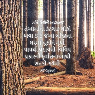 Picture 04 - 2 તિમોથીને 3:6 GUJIRV - તેઓમાંના કેટલાક - Bible Verse Picture