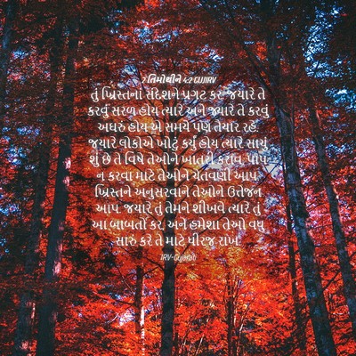 Picture 04 - 2 તિમોથીને 4:2 GUJIRV - તું ખ્રિસ્તનાં - Bible Verse Picture