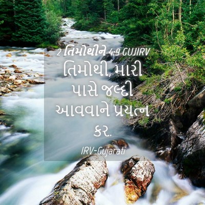 Picture 04 - 2 તિમોથીને 4:9 GUJIRV - તિમોથી, મારી પાસે - Bible Verse Picture