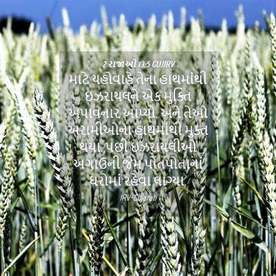 Picture 04 - 2 રાજાઓ 13:5 GUJIRV - માટે યહોવાહે તેના - Bible Verse Picture