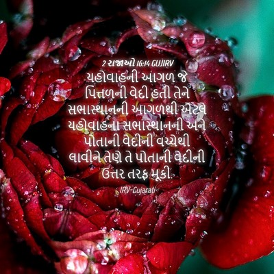 Picture 04 - 2 રાજાઓ 16:14 GUJIRV - યહોવાહની આગળ જે - Bible Verse Picture