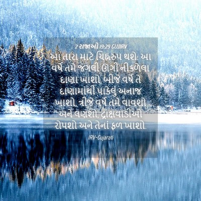 Picture 04 - 2 રાજાઓ 19:29 GUJIRV - આ તારા માટે - Bible Verse Picture