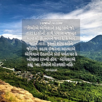 Picture 04 - 2 રાજાઓ 2:16 GUJIRV - તેઓએ એલિશાને - Bible Verse Picture