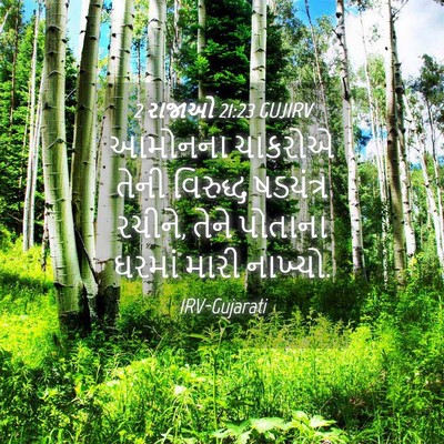 Picture 04 - 2 રાજાઓ 21:23 GUJIRV - આમોનના ચાકરોએ - Bible Verse Picture