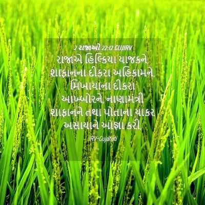 Picture 04 - 2 રાજાઓ 22:12 GUJIRV - રાજાએ હિલ્કિયા - Bible Verse Picture