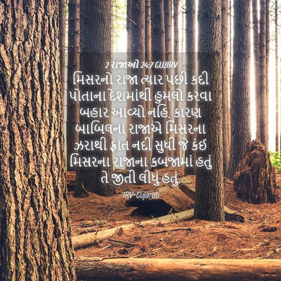 Picture 04 - 2 રાજાઓ 24:7 GUJIRV - મિસરનો રાજા ત્યાર - Bible Verse Picture
