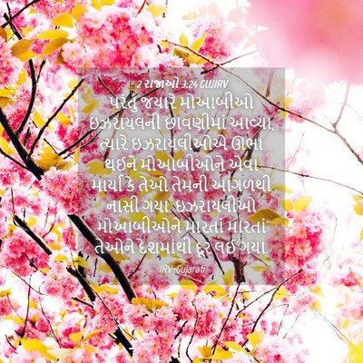 Picture 04 - 2 રાજાઓ 3:24 GUJIRV - પરંતુ જયારે - Bible Verse Picture
