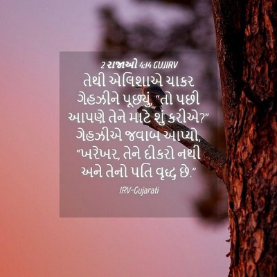 Picture 04 - 2 રાજાઓ 4:14 GUJIRV - તેથી એલિશાએ ચાકર - Bible Verse Picture