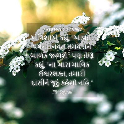 Picture 04 - 2 રાજાઓ 4:16 GUJIRV - એલિશાએ કહ્યું, - Bible Verse Picture