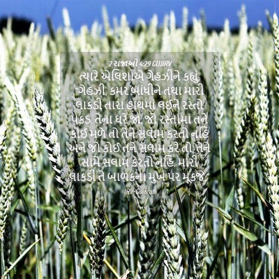 Picture 04 - 2 રાજાઓ 4:29 GUJIRV - ત્યારે એલિશાએ - Bible Verse Picture