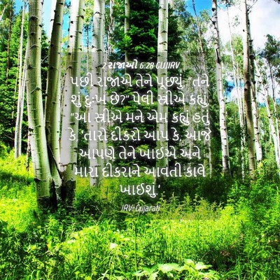 Picture 04 - 2 રાજાઓ 6:28 GUJIRV - પછી રાજાએ તેને - Bible Verse Picture