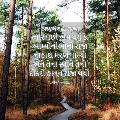 Picture 04 - 2 શમુએલ 10:1 GUJIRV - ત્યાર પછી એમ થયું - Bible Verse Picture