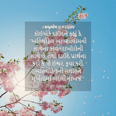 Picture 04 - 2 શમુએલ 15:31 GUJIRV - કોઈએકે દાઉદને - Bible Verse Picture