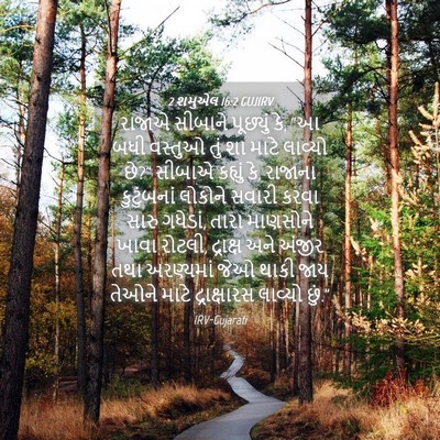 Picture 04 - 2 શમુએલ 16:2 GUJIRV - રાજાએ સીબાને - Bible Verse Picture