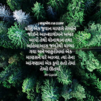 Picture 04 - 2 શમુએલ 17:18 GUJIRV - પરંતુ એક જુવાન - Bible Verse Picture