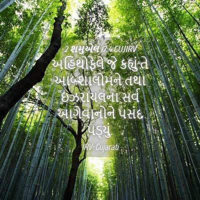 Picture 04 - 2 શમુએલ 17:4 GUJIRV - અહિથોફેલે જે - Bible Verse Picture