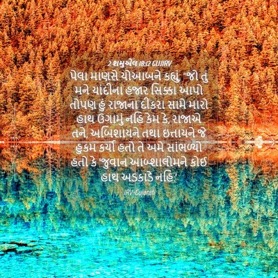 Picture 04 - 2 શમુએલ 18:12 GUJIRV - પેલા માણસે યોઆબને - Bible Verse Picture
