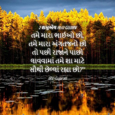 Picture 04 - 2 શમુએલ 19:12 GUJIRV - તમે મારા ભાઈઓ છો, - Bible Verse Picture