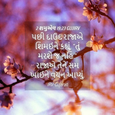 Picture 04 - 2 શમુએલ 19:23 GUJIRV - પછી દાઉદ રાજાએ - Bible Verse Picture