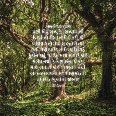 Picture 04 - 2 શમુએલ 20:1 GUJIRV - પછી એવું બન્યું કે, - Bible Verse Picture