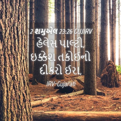 Picture 04 - 2 શમુએલ 23:26 GUJIRV - હેલેસ પાલ્ટી, - Bible Verse Picture
