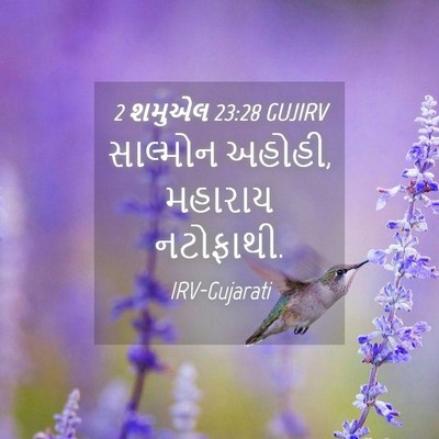 Picture 04 - 2 શમુએલ 23:28 GUJIRV - સાલ્મોન અહોહી, - Bible Verse Picture