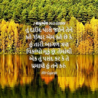Picture 04 - 2 શમુએલ 24:12 GUJIRV - તું દાઉદ પાસે જઈને - Bible Verse Picture