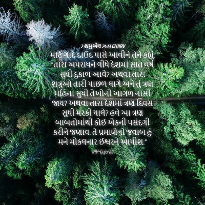 Picture 04 - 2 શમુએલ 24:13 GUJIRV - માટે ગાદે દાઉદ - Bible Verse Picture