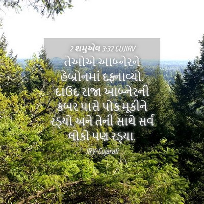 Picture 04 - 2 શમુએલ 3:32 GUJIRV - તેઓએ આબ્નેરને - Bible Verse Picture