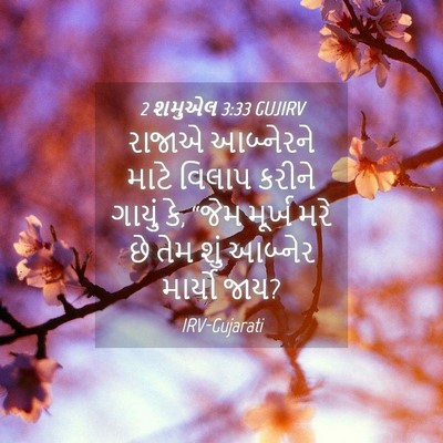 Picture 04 - 2 શમુએલ 3:33 GUJIRV - રાજાએ આબ્નેરને - Bible Verse Picture