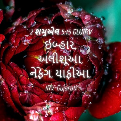 Picture 04 - 2 શમુએલ 5:15 GUJIRV - ઈબ્હાર, અલીશૂઆ, - Bible Verse Picture