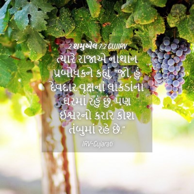 Picture 04 - 2 શમુએલ 7:2 GUJIRV - ત્યારે રાજાએ - Bible Verse Picture