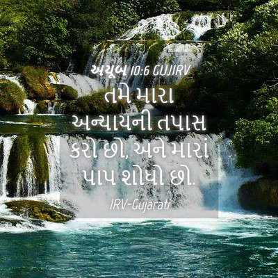 Picture 04 - અયૂબ 10:6 GUJIRV - તમે મારા અન્યાયની - Bible Verse Picture