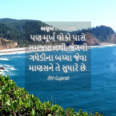 Picture 04 - અયૂબ 11:12 GUJIRV - પણ મૂર્ખ લોકો પાસે - Bible Verse Picture