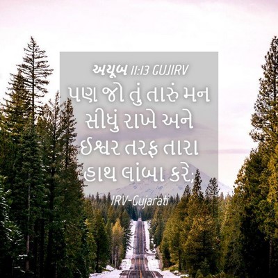 Picture 04 - અયૂબ 11:13 GUJIRV - પણ જો તું તારું મન - Bible Verse Picture
