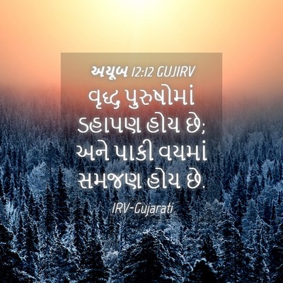 Picture 04 - અયૂબ 12:12 GUJIRV - વૃદ્ધ પુરુષોમાં - Bible Verse Picture