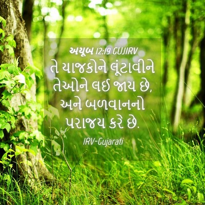 Picture 04 - અયૂબ 12:19 GUJIRV - તે યાજકોને - Bible Verse Picture