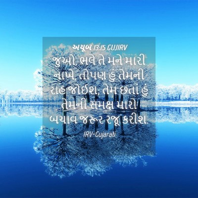 Picture 04 - અયૂબ 13:15 GUJIRV - જુઓ, ભલે તે મને - Bible Verse Picture