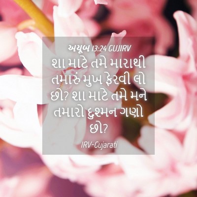 Picture 04 - અયૂબ 13:24 GUJIRV - શા માટે તમે મારાથી - Bible Verse Picture