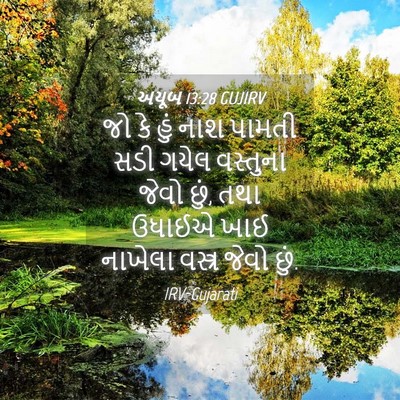 Picture 04 - અયૂબ 13:28 GUJIRV - જો કે હું નાશ પામતી - Bible Verse Picture