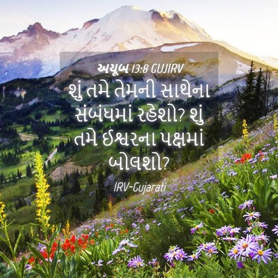 Picture 04 - અયૂબ 13:8 GUJIRV - શું તમે તેમની - Bible Verse Picture