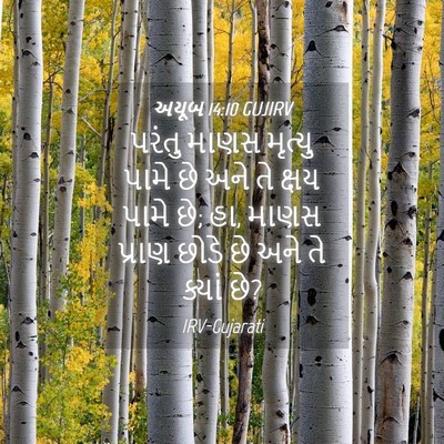 Picture 04 - અયૂબ 14:10 GUJIRV - પરંતુ માણસ મૃત્યુ - Bible Verse Picture