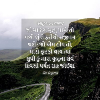 Picture 04 - અયૂબ 14:14 GUJIRV - જો માણસ મૃત્યુ - Bible Verse Picture