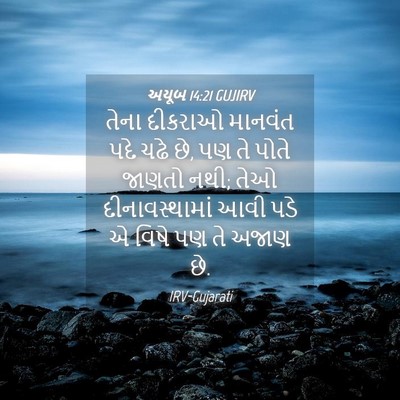 Picture 04 - અયૂબ 14:21 GUJIRV - તેના દીકરાઓ - Bible Verse Picture