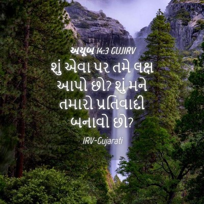 Picture 04 - અયૂબ 14:3 GUJIRV - શું એવા પર તમે લક્ષ - Bible Verse Picture