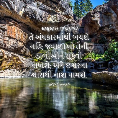 Picture 04 - અયૂબ 15:30 GUJIRV - તે અંધકારમાંથી - Bible Verse Picture
