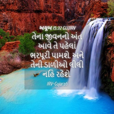 Picture 04 - અયૂબ 15:32 GUJIRV - તેના જીવનનો અંત - Bible Verse Picture