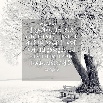 Picture 04 - અયૂબ 16:12 GUJIRV - હું સુખચેનમાં હતો, - Bible Verse Picture