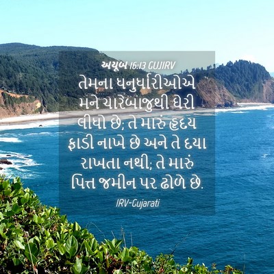 Picture 04 - અયૂબ 16:13 GUJIRV - તેમના ધનુર્ધારીઓએ - Bible Verse Picture