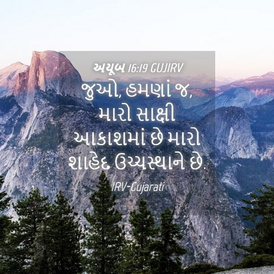 Picture 04 - અયૂબ 16:19 GUJIRV - જુઓ, હમણાં જ, મારો - Bible Verse Picture